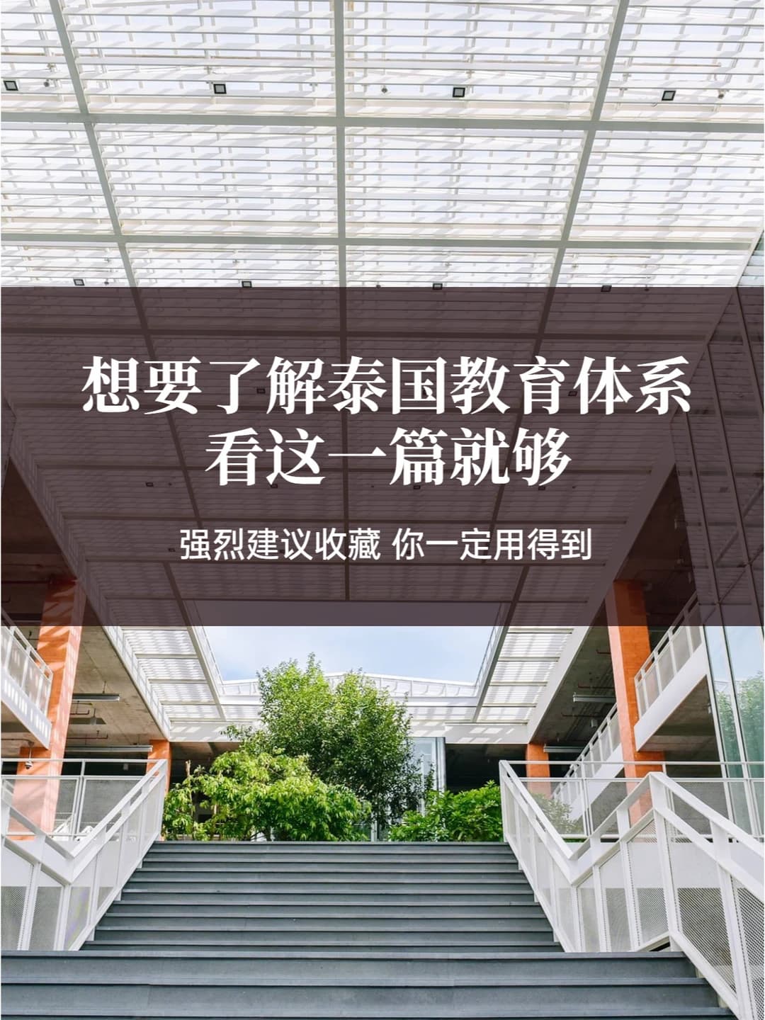 泰国教育体系干货必备,提升学业轻松又高效封面图