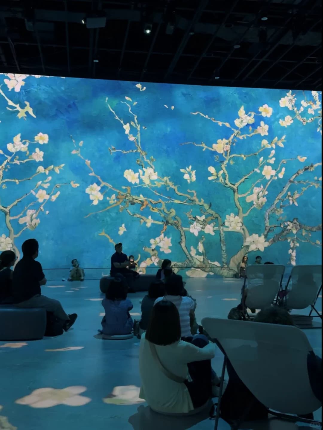 🇯🇵东京｜ 沉浸式艺术展🎨封面图