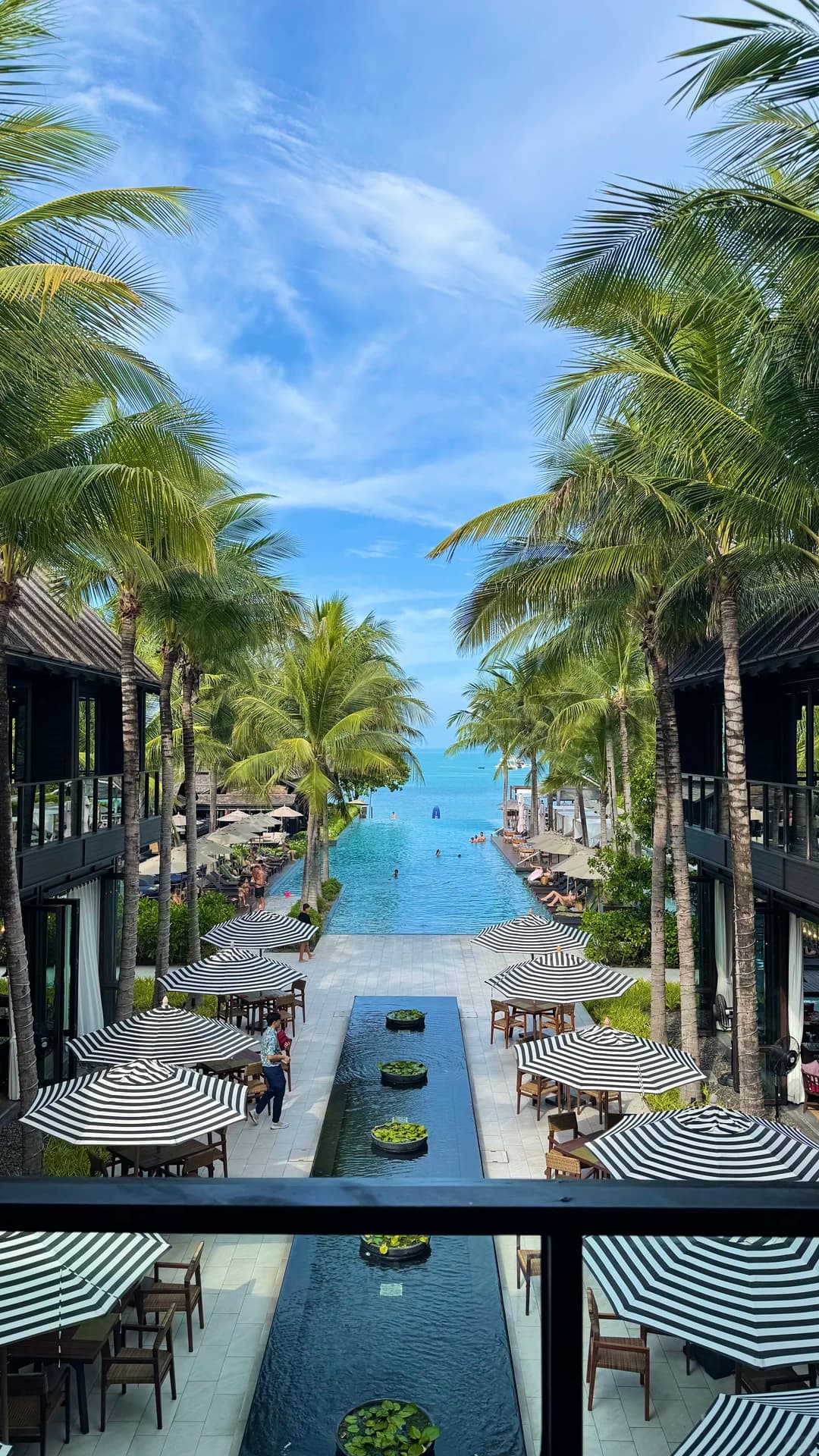 夏天我来了封面图
