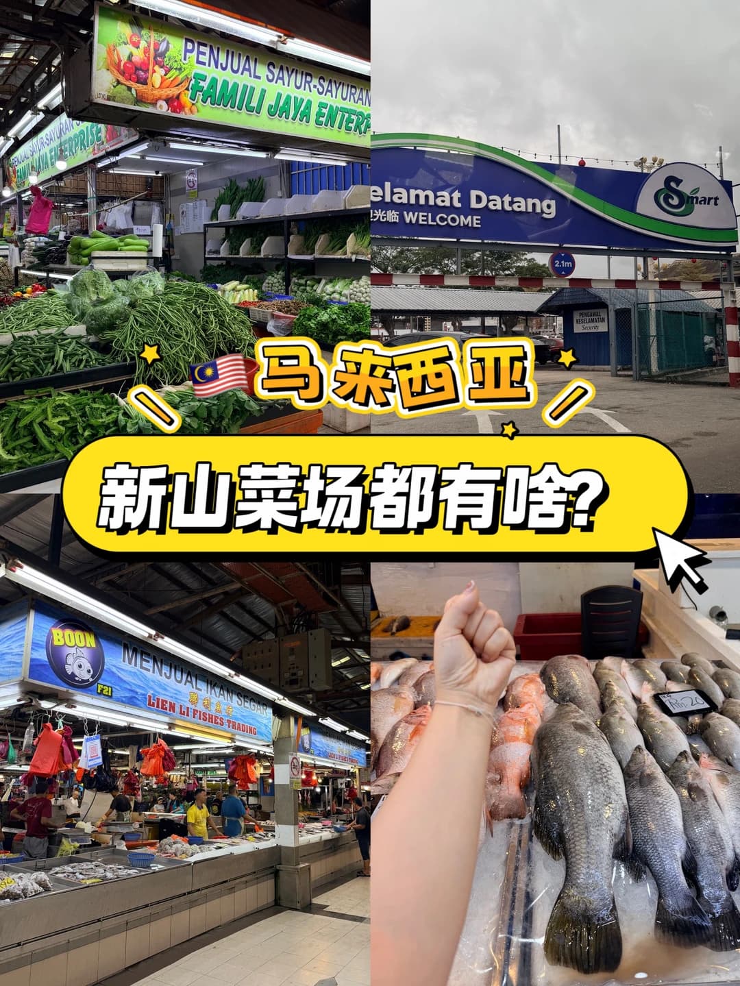 🇲🇾谁懂啊!新山菜市场梭子蟹1块钱一只!封面图