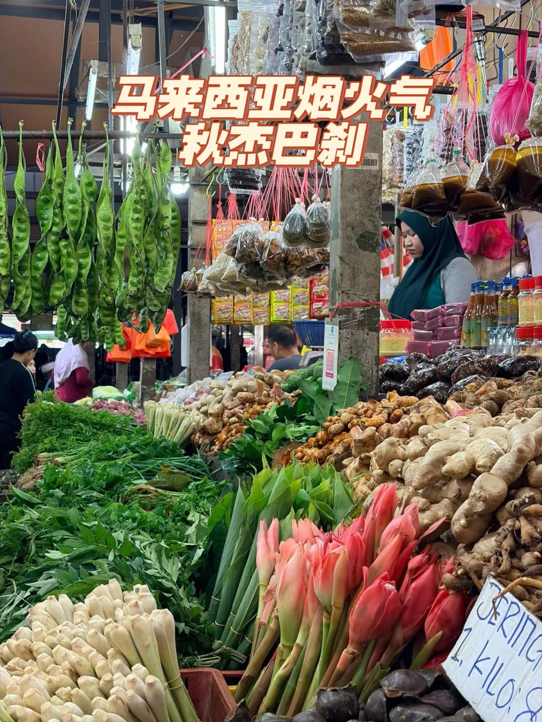 马来西亚烟火气—秋杰巴刹封面图