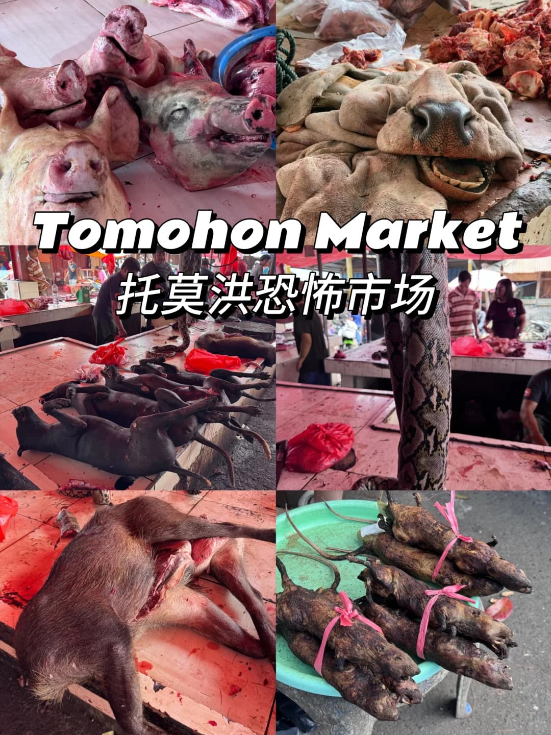 🇮🇩印尼托莫洪恐怖市场封面图