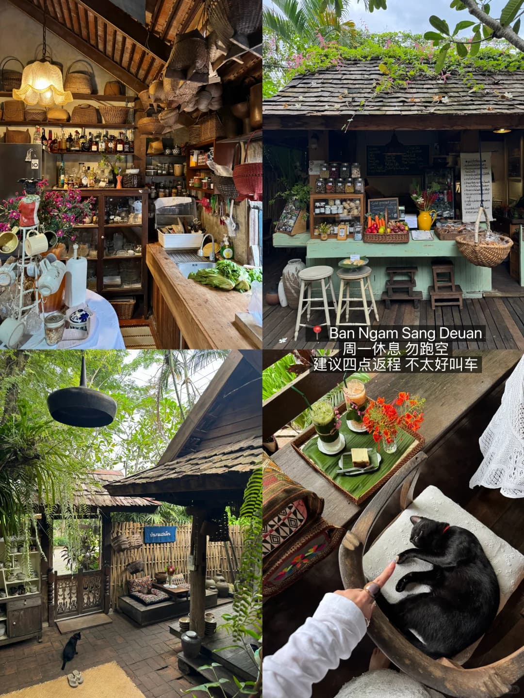 🇹🇭离开清迈念念不忘的15家。。。封面图