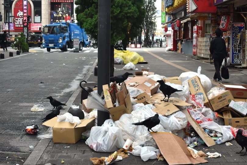 游客量恢复，东京都拟立法严惩乱扔垃圾行为封面图