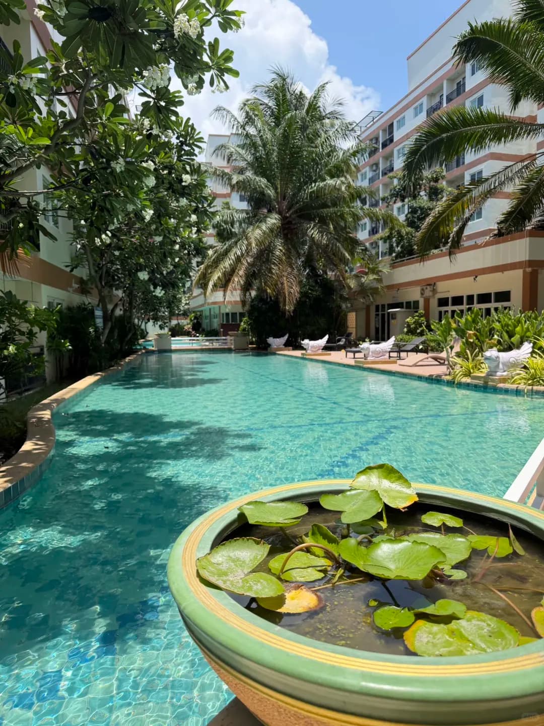 芭提雅中天Park Lane 35㎡一居，8层正泳池景观，月租8000泰铢或售158万泰铢封面图