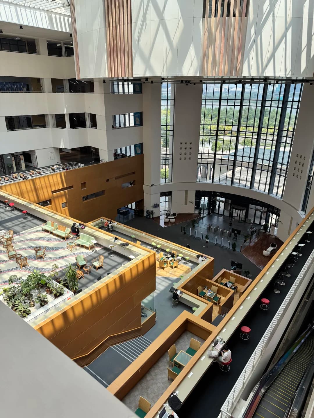 🇲🇴学习瘾犯了去哪里？封面图