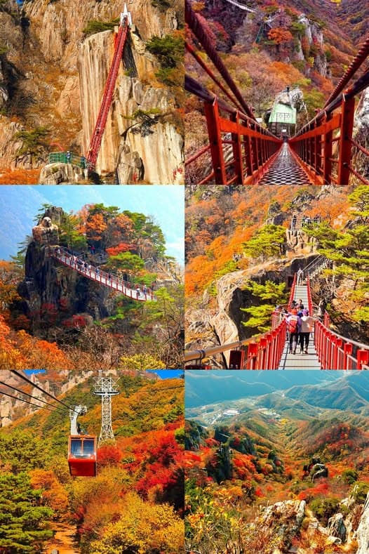 韩国大屯山秋日徒步指南：绝美红叶、云端玻璃桥与挑战级阶梯封面图