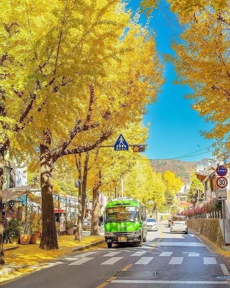 秋日韩国美景令人着迷，你更偏爱秋季还是冬季出行？封面图