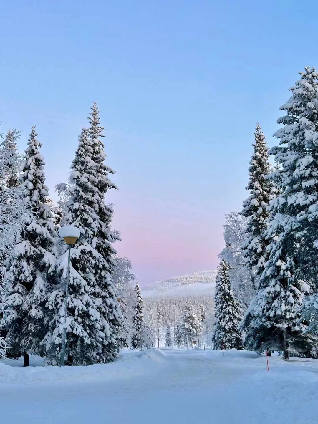 雪后清晨的童话世界｜路灯顶上那团蓬松雪，像极了刚出炉的棉花糖