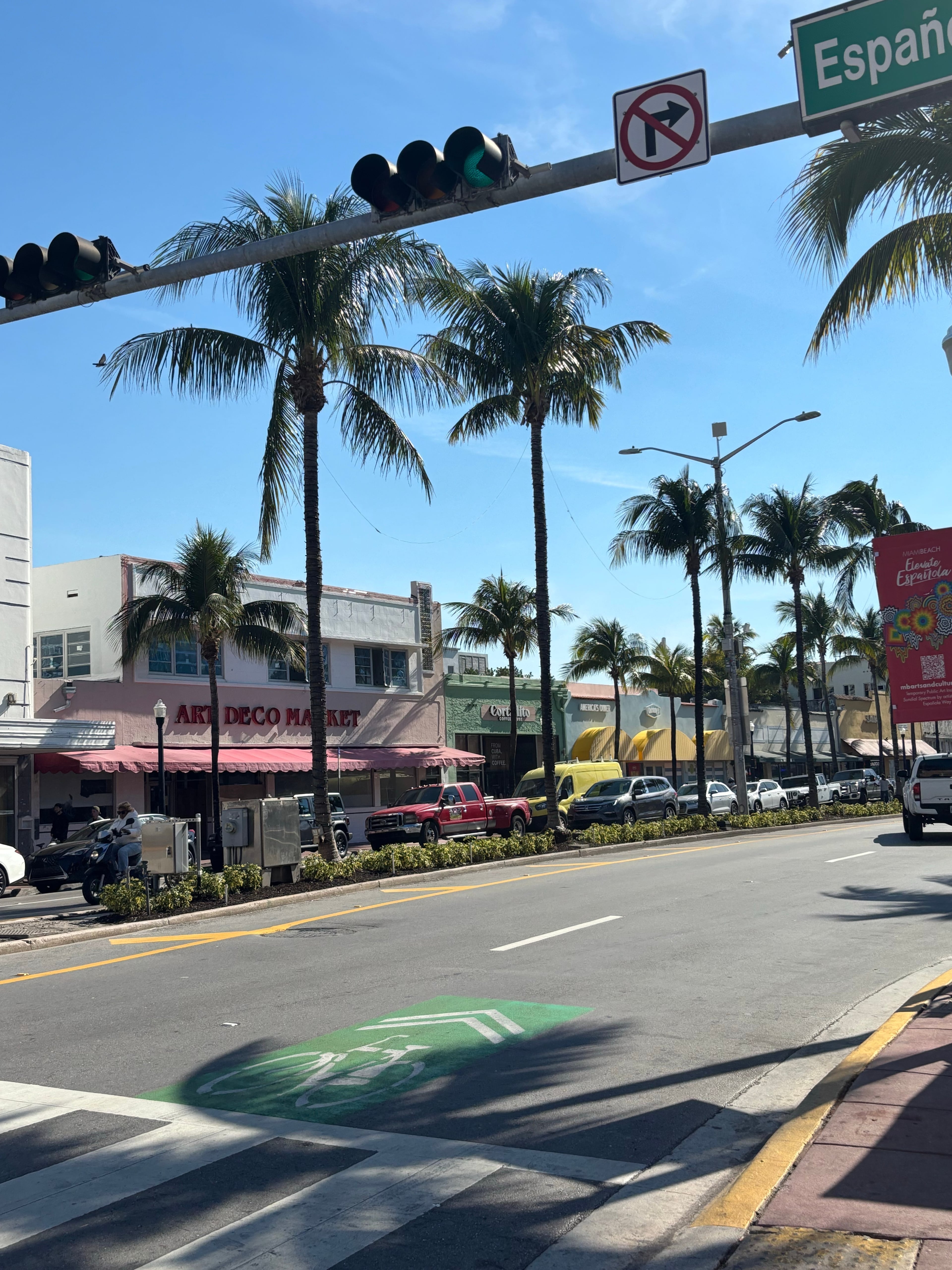 Miami Beach 这条街的阳光和棕榈树，是夏天提前寄来的明信片 🌴