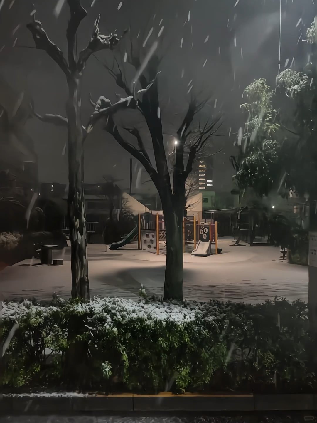 夜雪突然造访社区 playground，滑梯都冻成小冰山了❄️