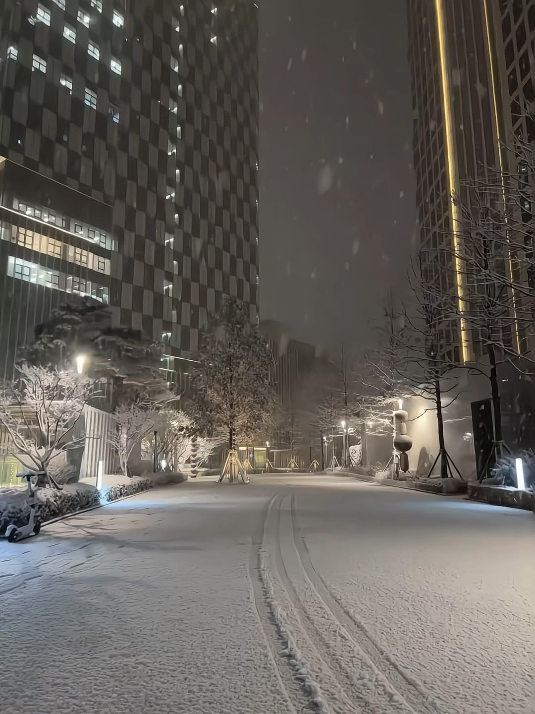 今晚的雪把写字楼都裹成棋盘格了 🌨️ 通勤路直接变滑雪场