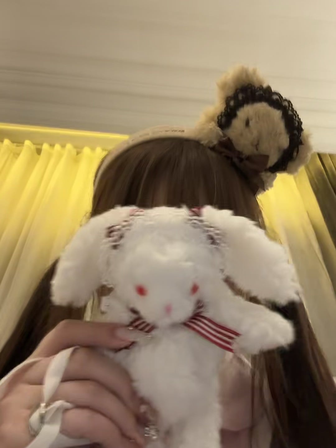 今日份毛绒绒治愈时刻 🐰