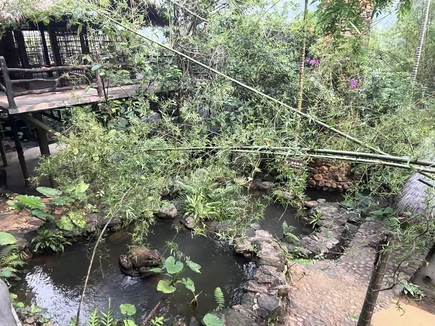 雨后花园小径，竹枝垂落像在偷听水声