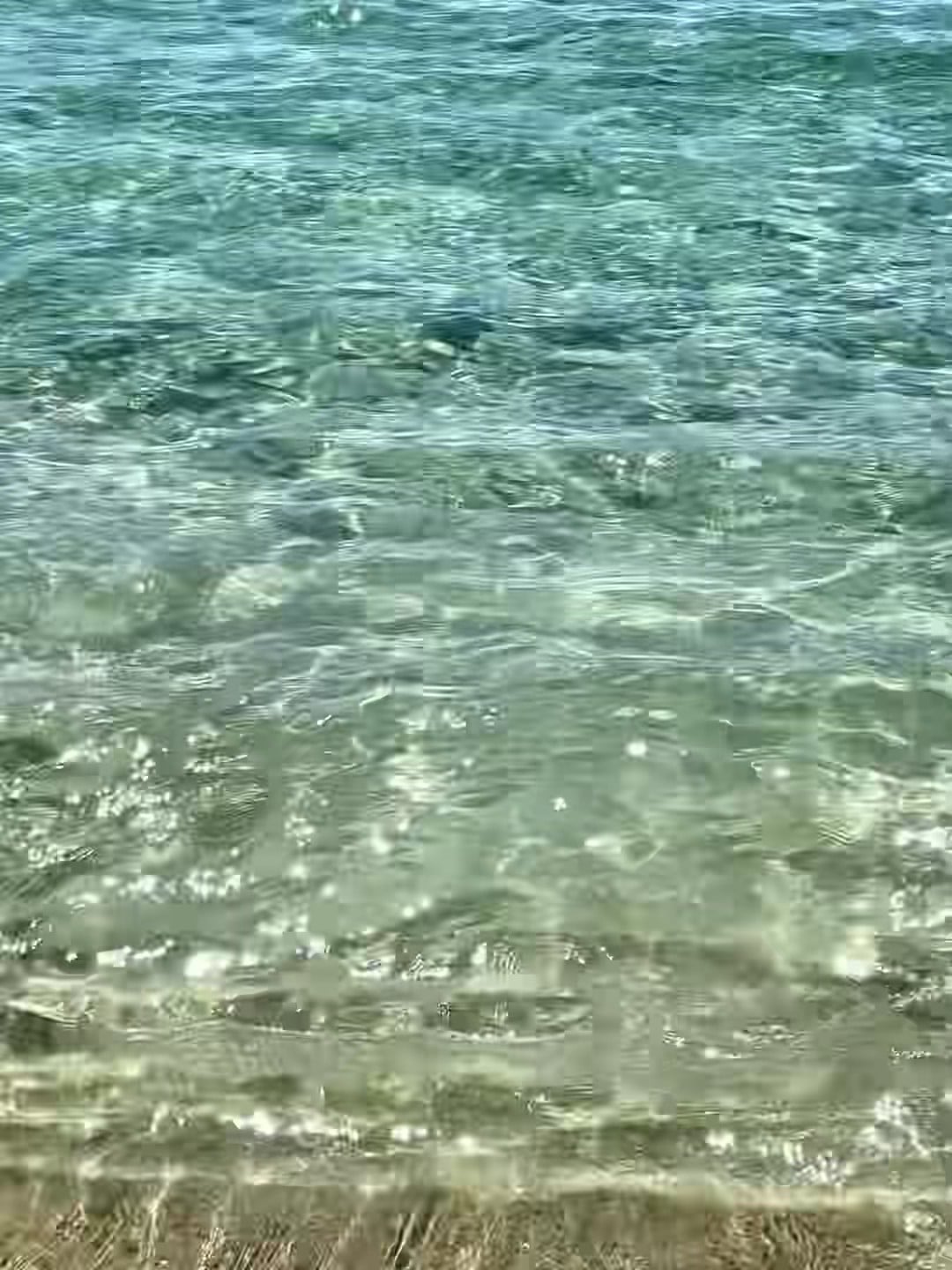 海浪拍岸的声音比闹钟靠谱多了🌊