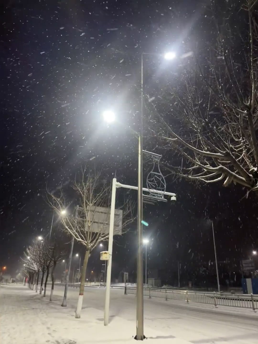 雪夜路灯下，光斑里飘着雪花｜今晚的街角像童话