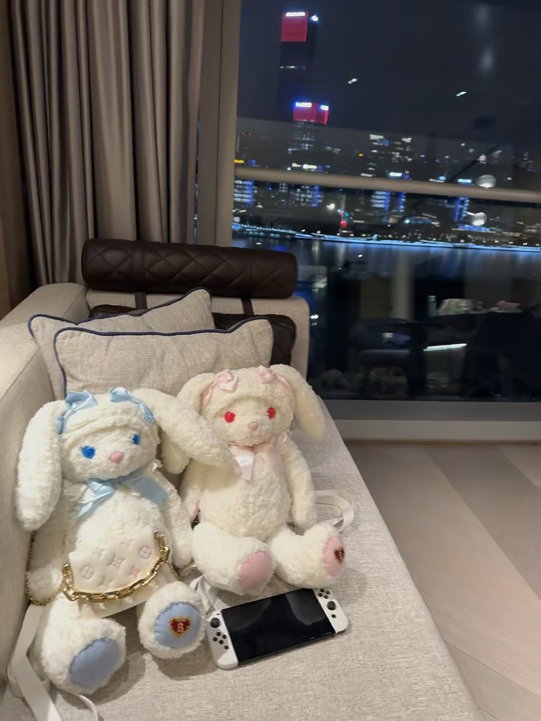 夜幕下的毛绒小宇宙，窗外是维港的灯海