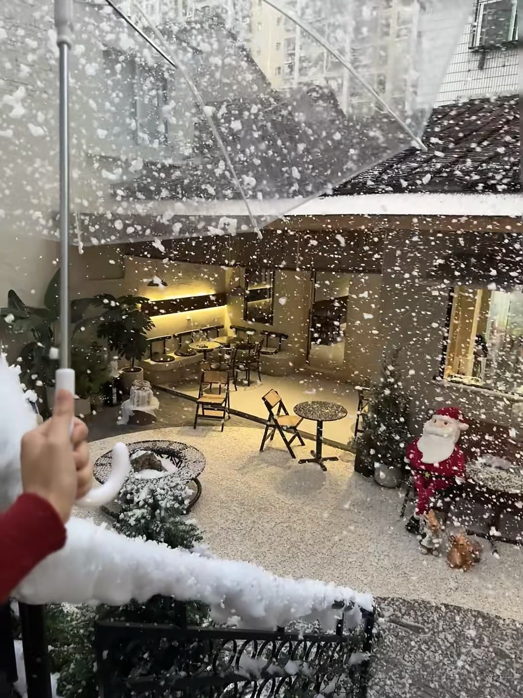 今天在咖啡店后院被‘雪’袭击了…伞都快成雪球了