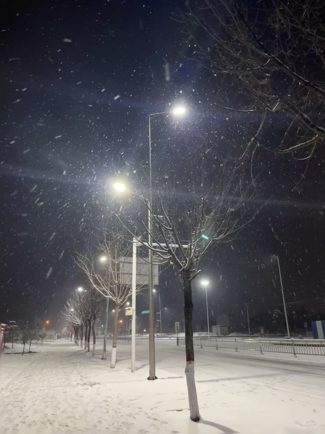 深夜路灯下飘雪，像被按了暂停键的冬日童话