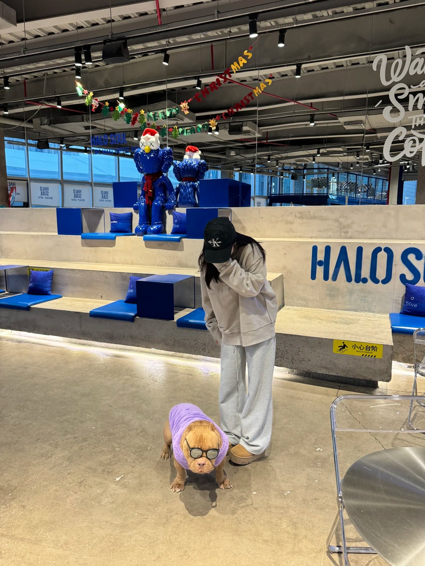 今天在HALO SOUL被狗狗戴眼镜的造型笑到打滚…它说：‘我才是主理人’