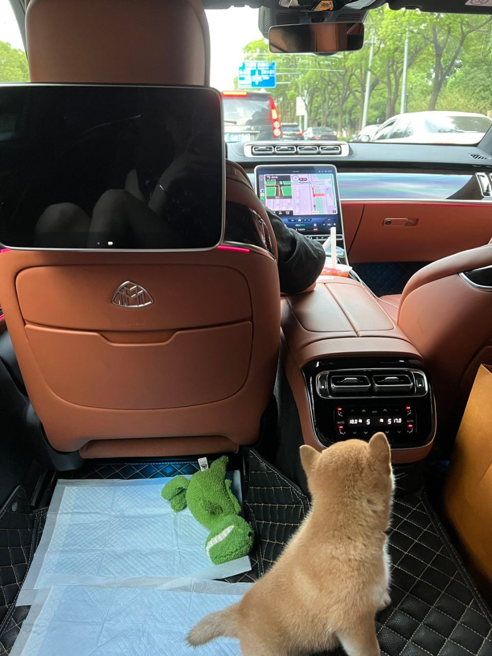 后座小祖宗终于学会坐稳了…但还是想偷看导航屏