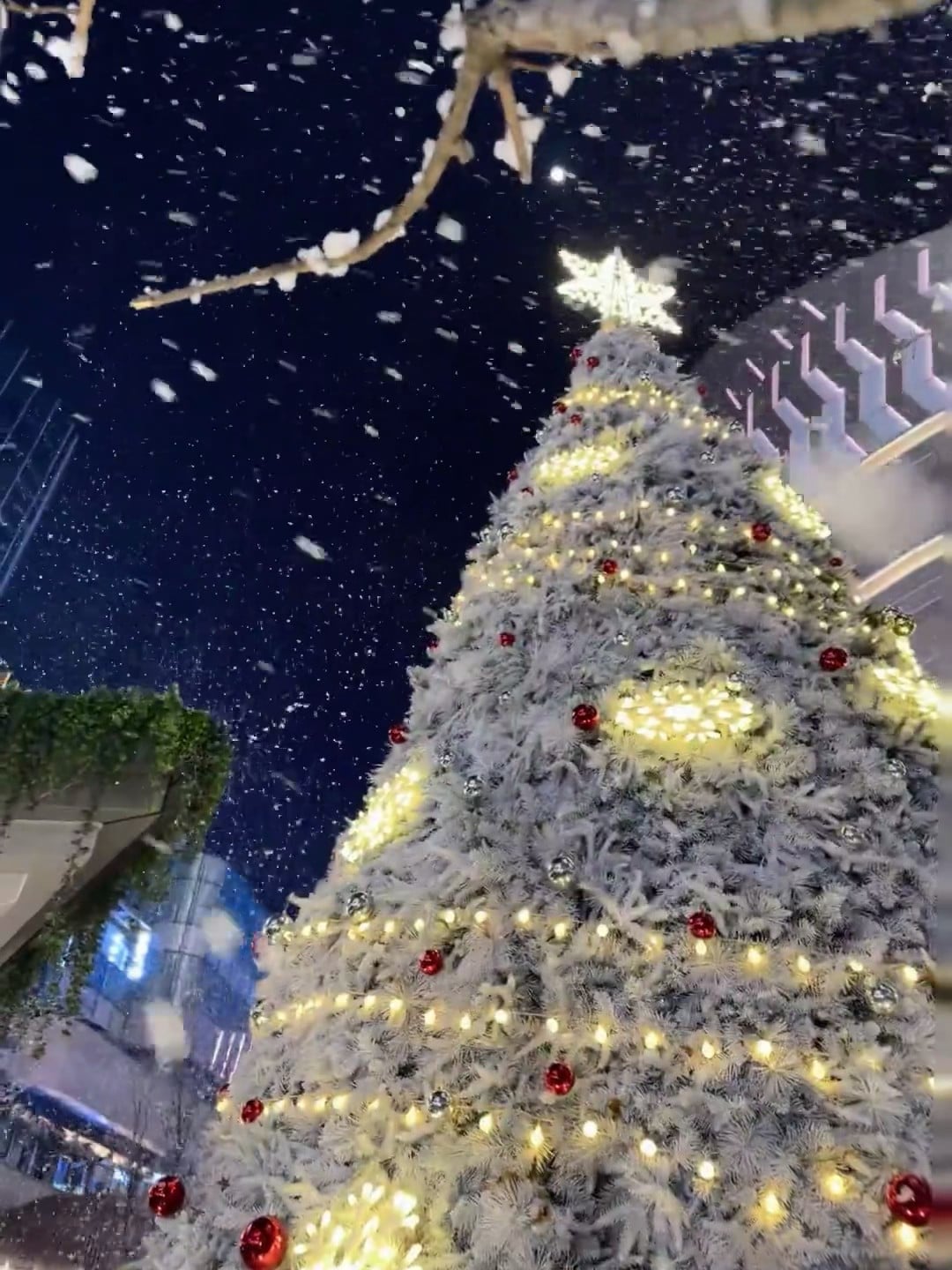 雪夜圣诞树突然下雪了❄️今天在The Mall门口被冻成狗但值得