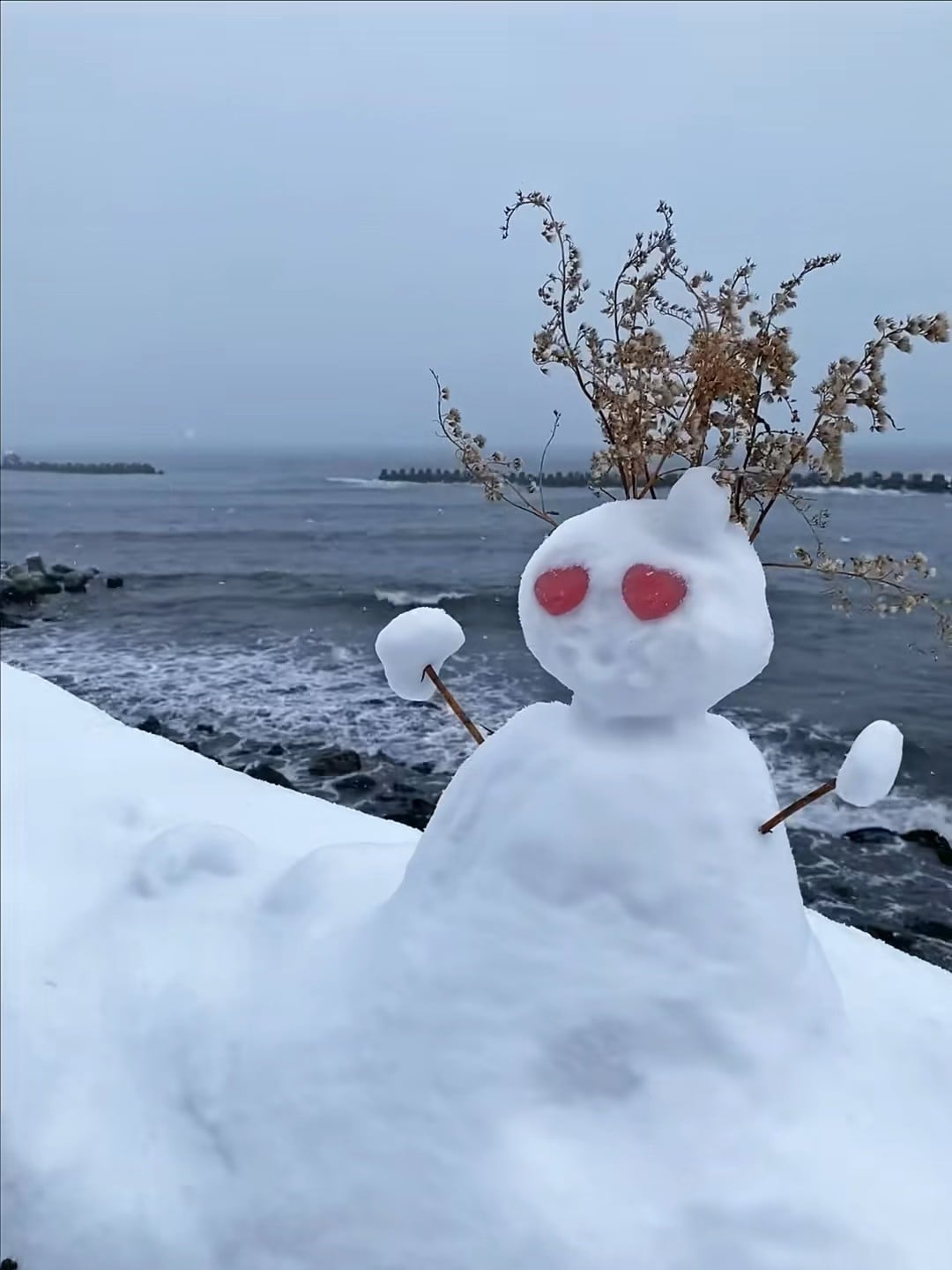 海边雪人偷吃我刚买的热可可…还把干花插头上当王冠？