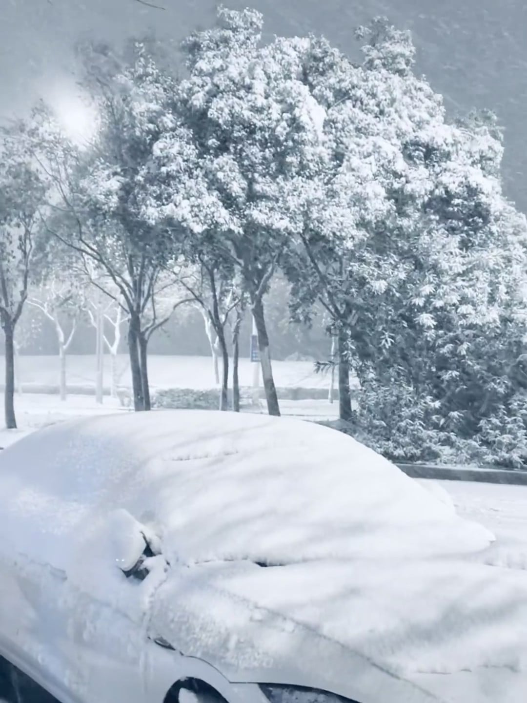 雪天车被埋，像开盲盒拆出一辆雪橇版Model 3