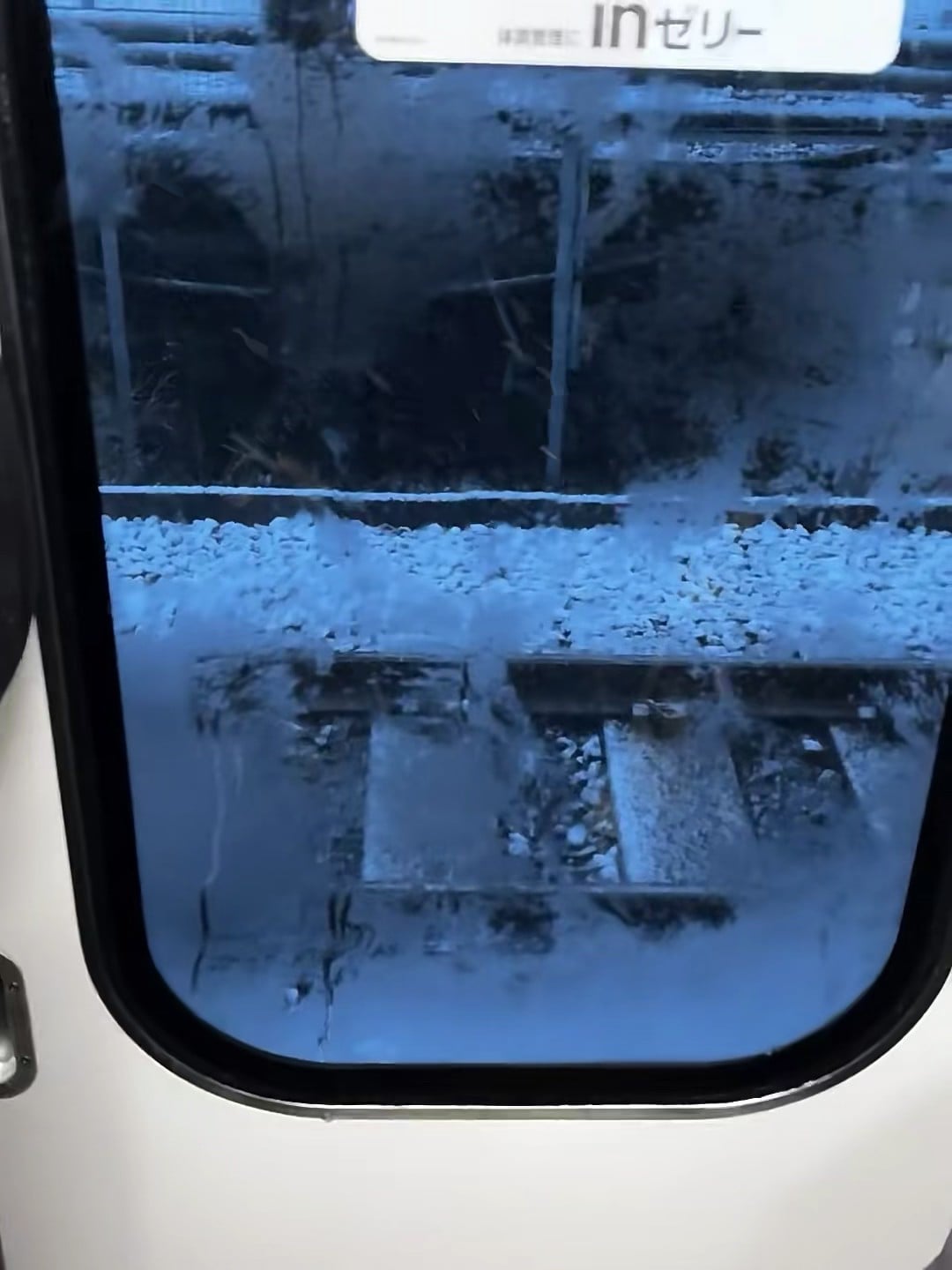 通勤路上的雪景盲盒｜电车窗上结霜的瞬间，像被冻住的童话