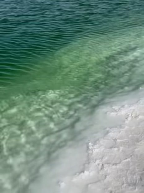 今天在盐湖边晃悠，水清得像打翻了翡翠盘子 🌊