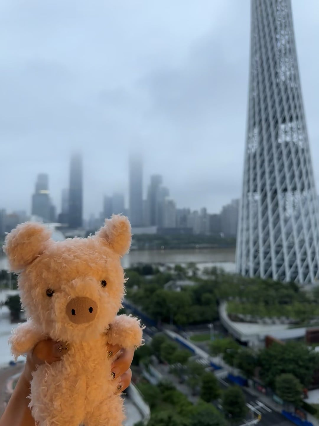 雨天拍到的云中小猪 🐷 广州塔下，雾气把写字楼都泡成棉花糖了