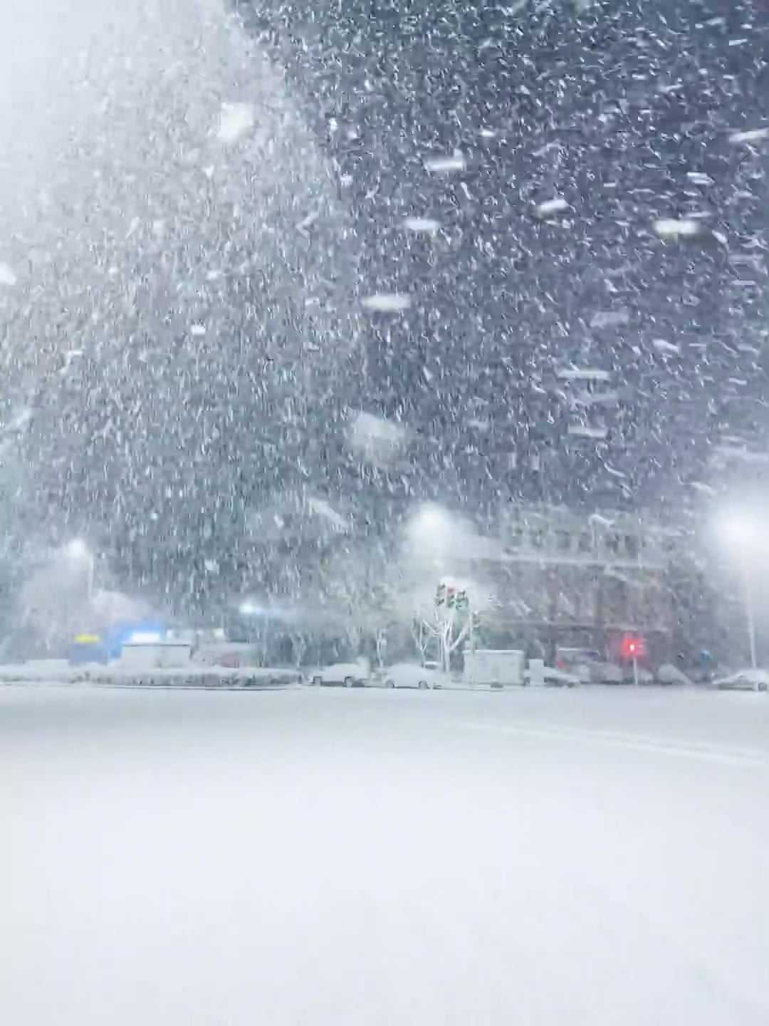 雪天通勤实录：车窗上全是‘雪花暴风雪’，今天在Junction Rd.被冻成冰雕
