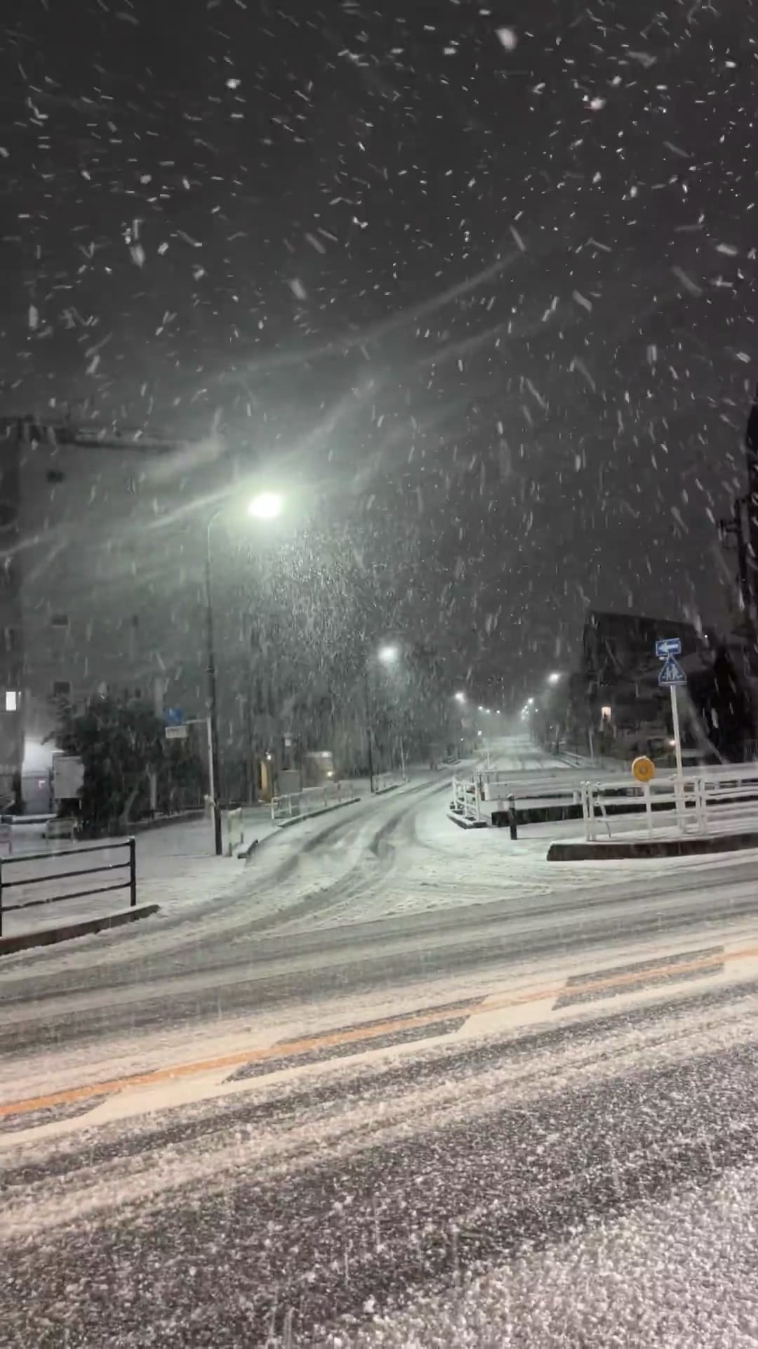 今晚的雪，把路灯都染成毛茸茸的了