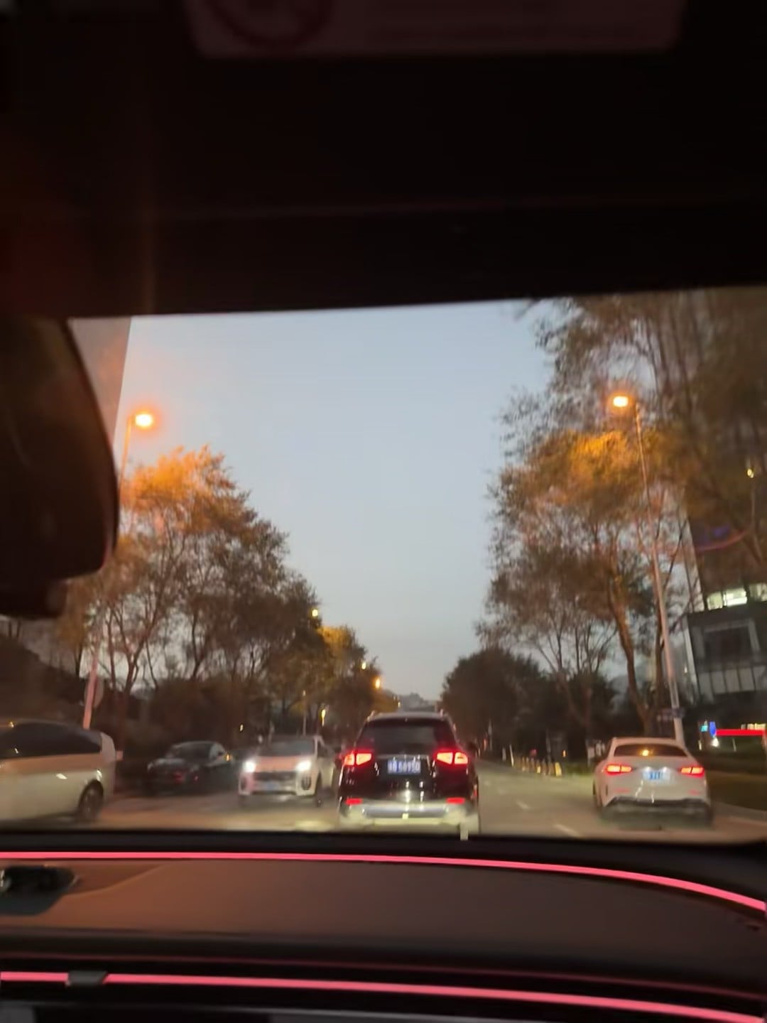 傍晚通勤路上的光，像被城市轻轻拥抱
