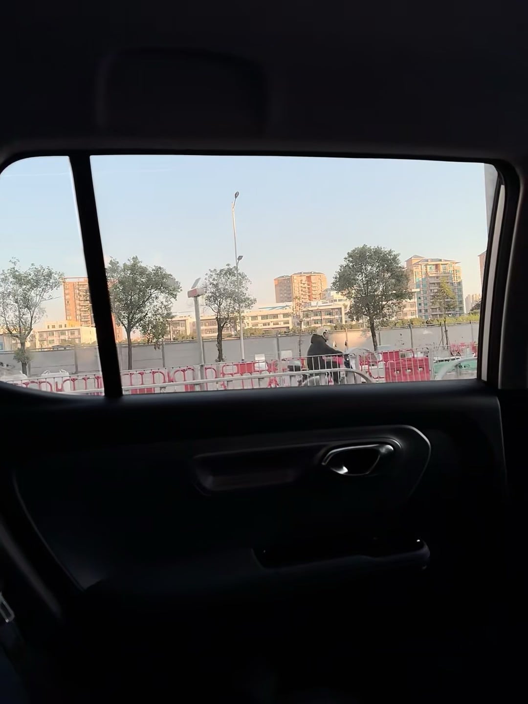 后座视角｜通勤路上的日常帧，今天在街角等红灯时拍到的暖光