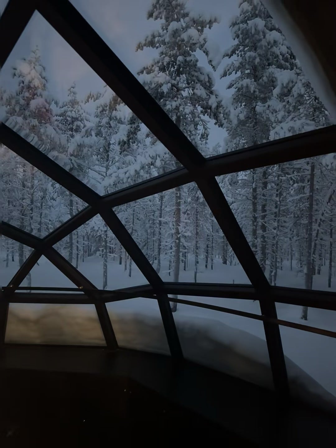 雪天在玻璃穹顶里喝热可可，像住进松林的童话屋