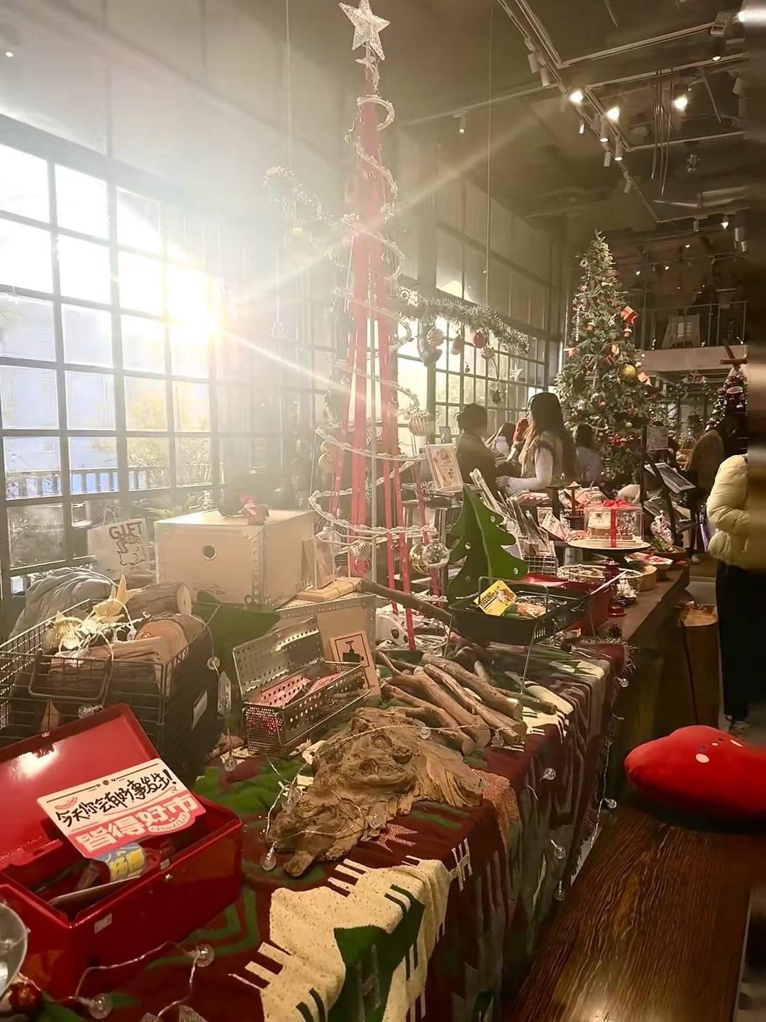 今天在街角老书店的圣诞市集蹲到一只会发光的树｜阳光太野了直接糊了镜头