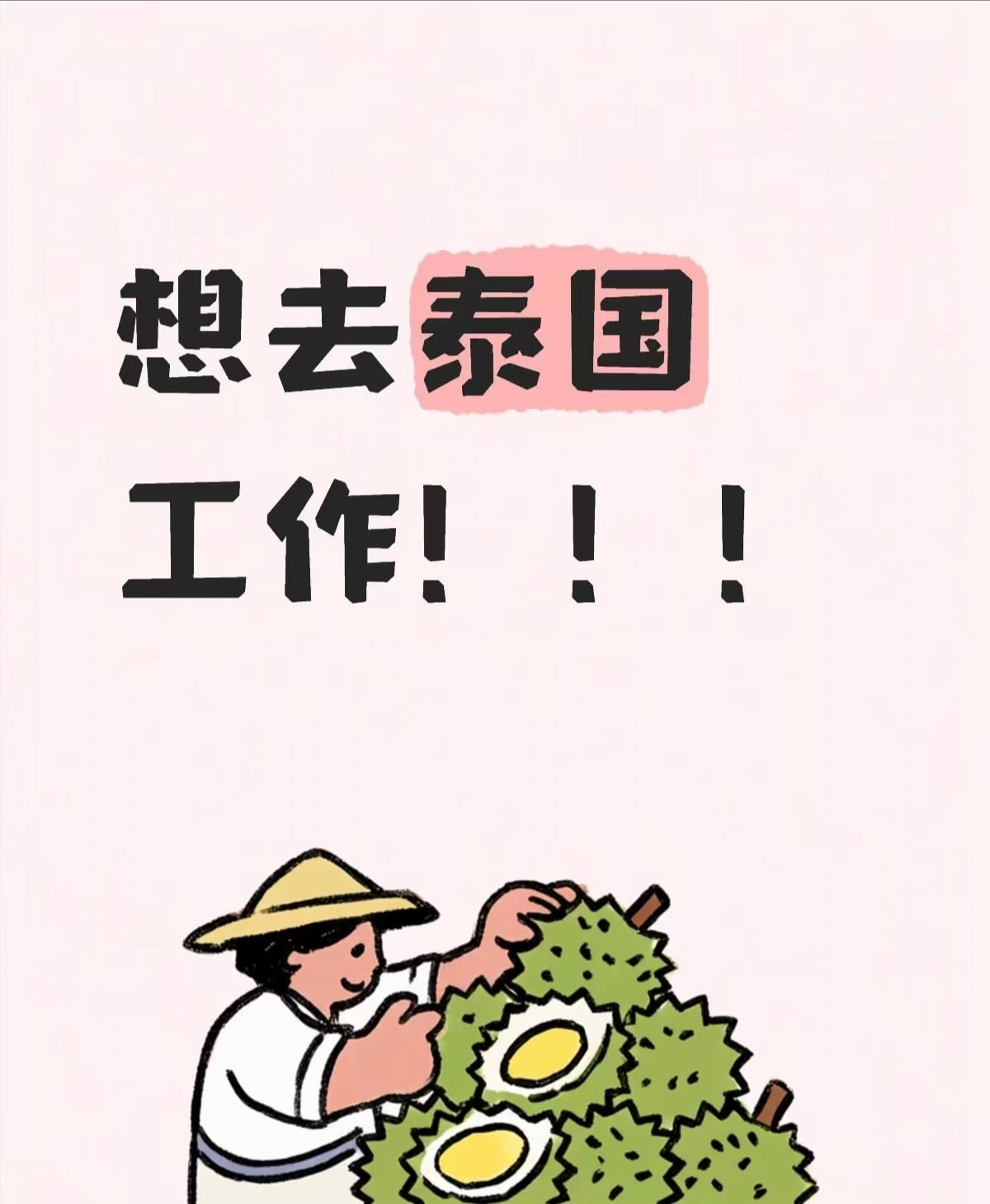 想在曼谷种榴莲顺便打工？