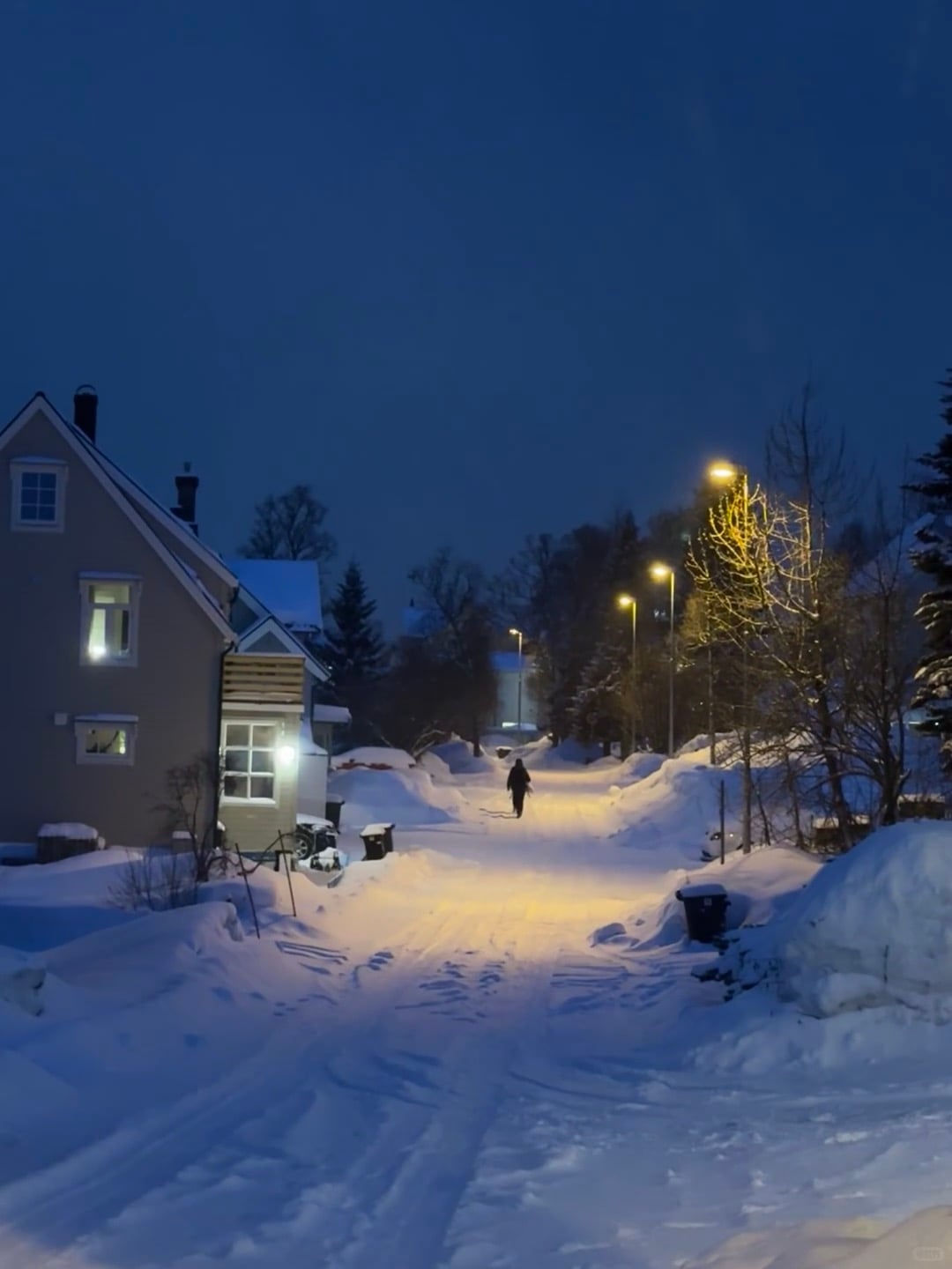 冬夜雪路，路灯下一个人的归家路 🌫️❄️