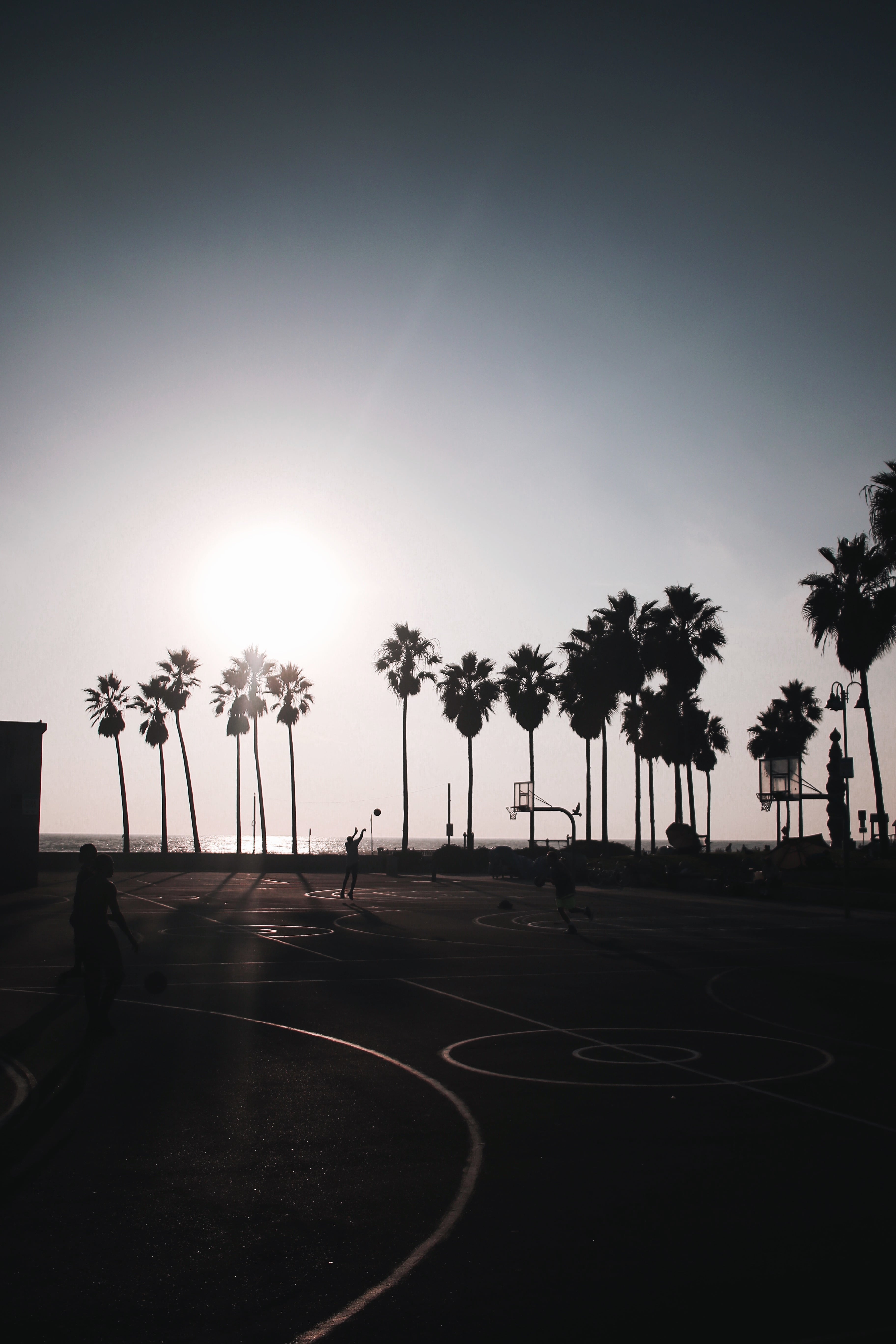 日落时分的街头篮球局， palm trees 把影子拉得像剪纸