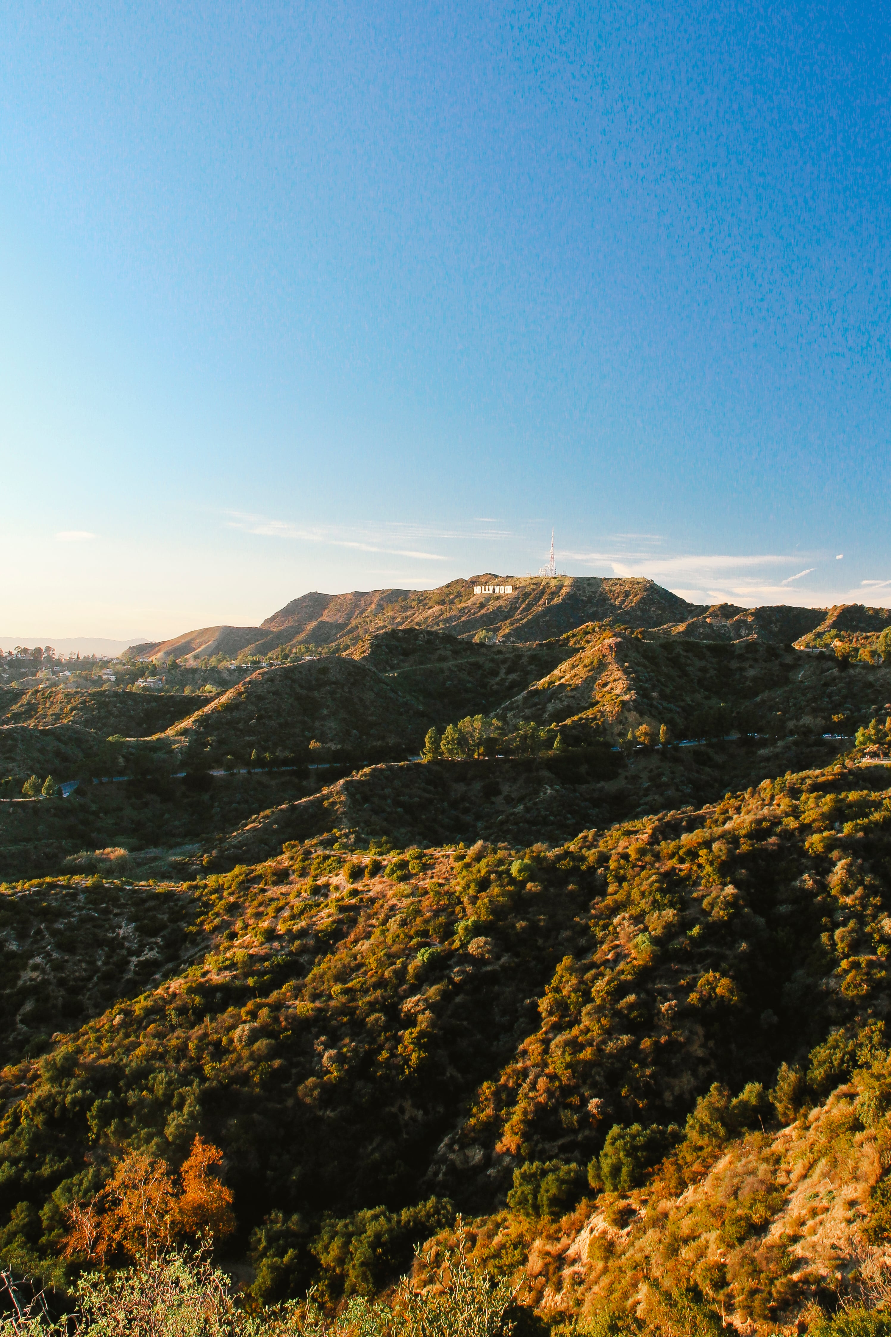 黄昏爬山顺路拍了下Hollywood Sign，没带相机纯靠手机抓拍，光是把山坡染成金棕色就值了