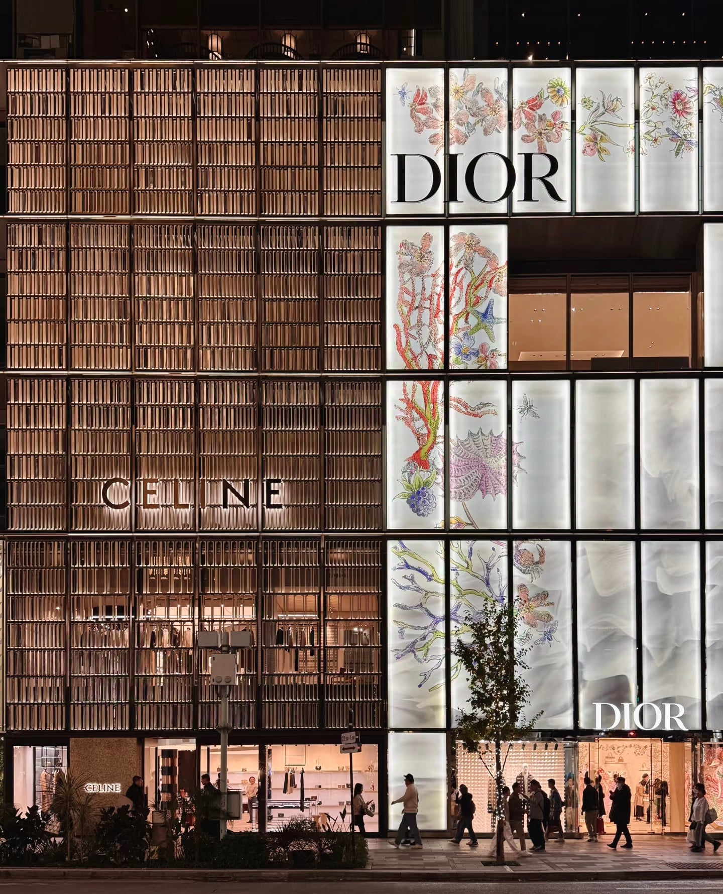 夜巡银座街角，Dior 和 Celine 的玻璃幕墙在霓虹里开花 🌸