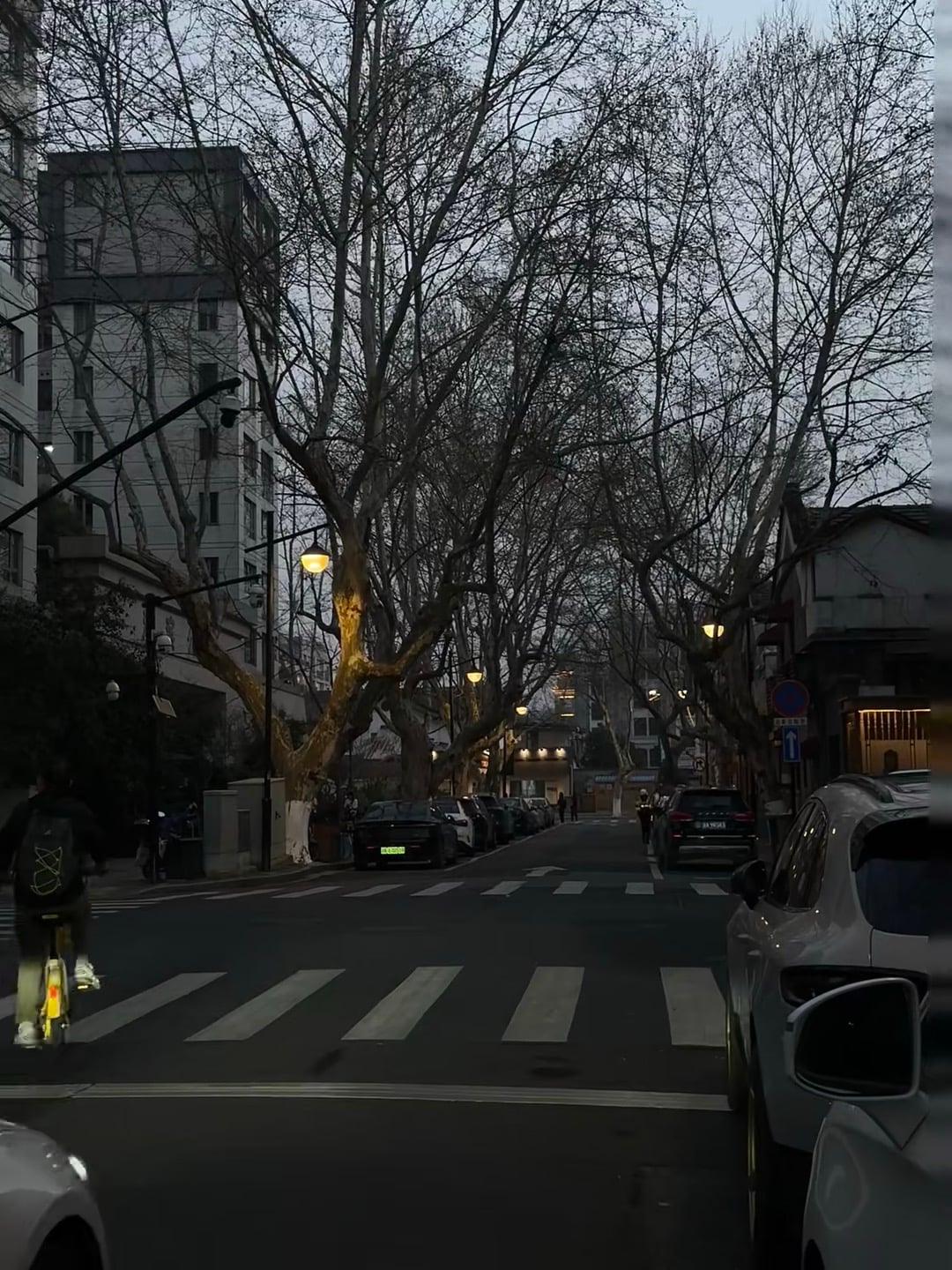傍晚骑车路过老梧桐道，路灯一亮像进了电影帧