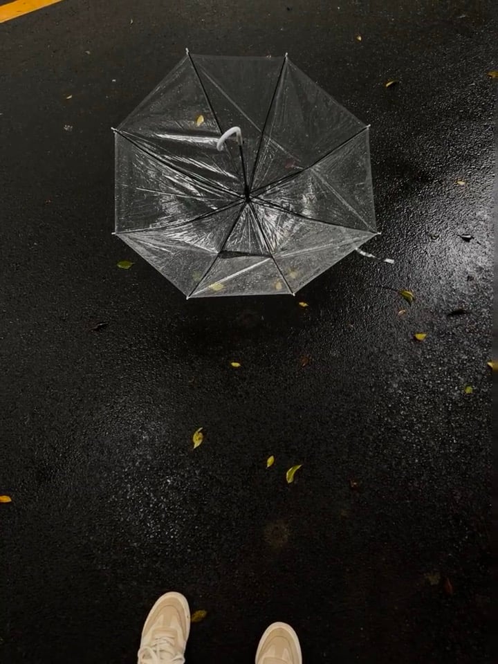 雨天伞掉地上，像被世界临时借走的透明梦