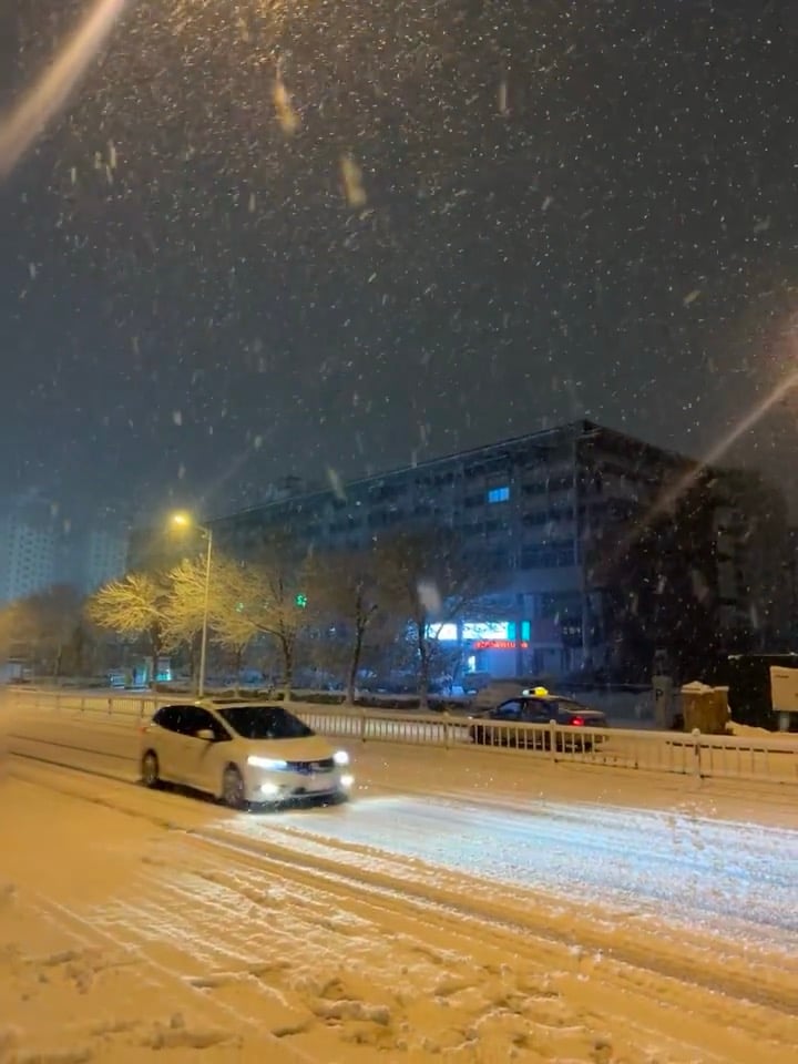 今晚雪下得真像小时候——车灯扫过雪地，像在拍科幻片