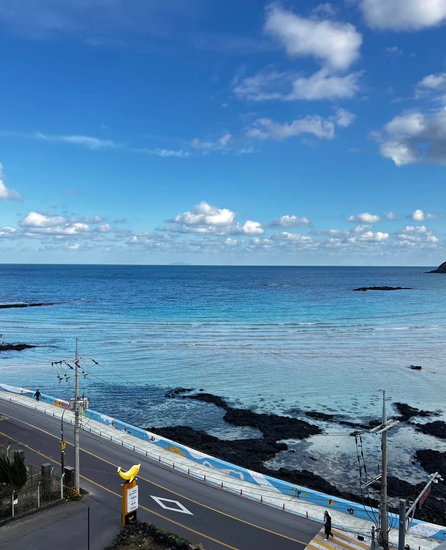 今天在济州岛海边的蓝调时刻，海风把头发吹成海藻卷