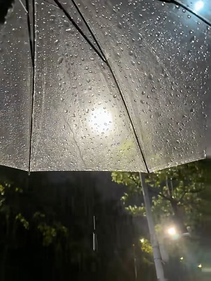 雨夜撑伞路过老城街角，路灯把水珠照成小星星✨