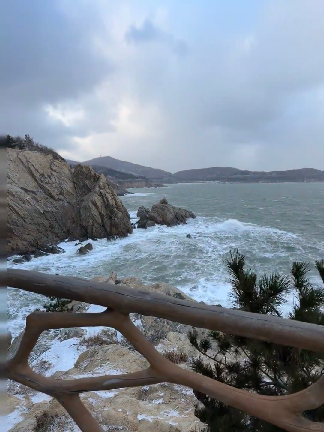 海边的风比想象中更野，木栏杆都快被吹歪了