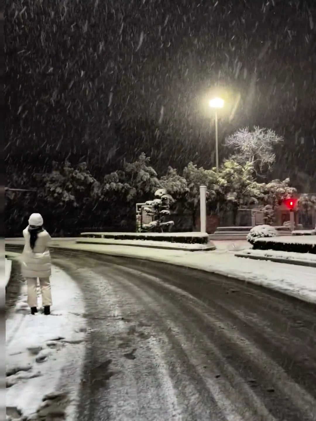 今晚的雪，像被谁偷偷撒了糖霜