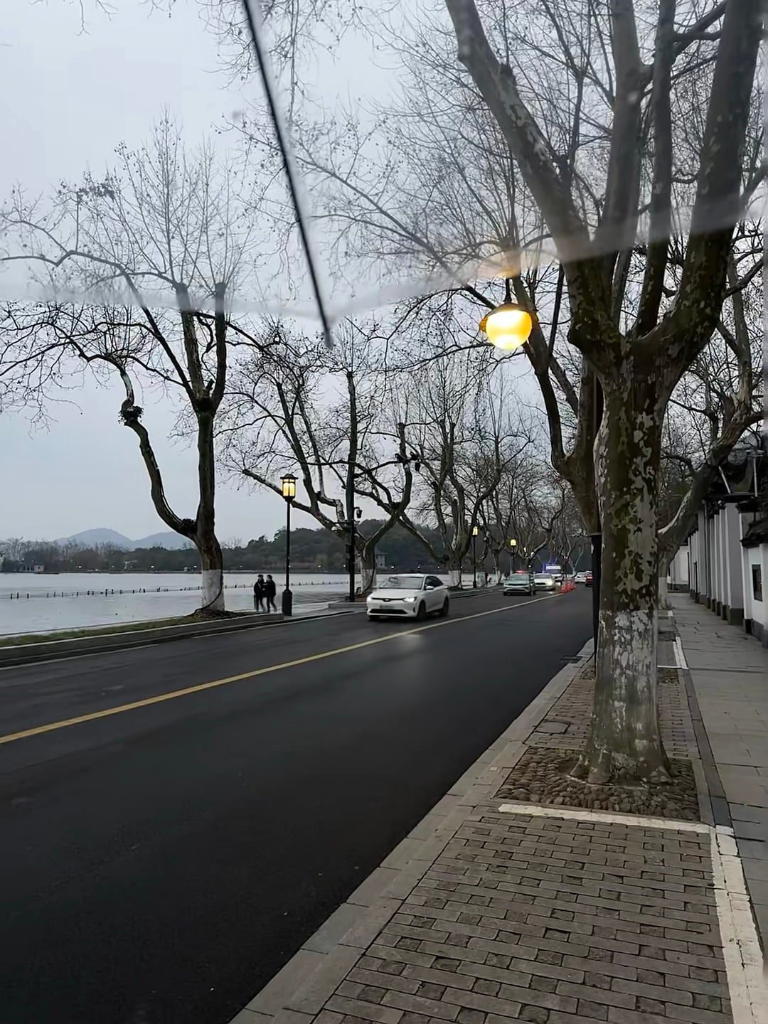雨天湖边开车，路灯一亮像进了童话片 🌧️✨